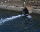 tkf001_767390