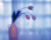 tkf001_768068