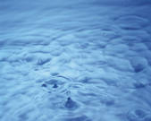 tkf001_769625