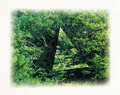 tkf001_769799