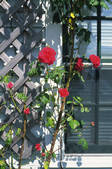 tkf001_770038