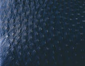 tkf001_776024
