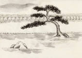 tkf001_780863