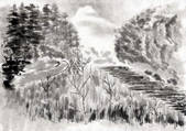 tkf001_780905