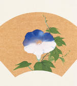 tkf001_781277