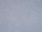 tkf001_781634