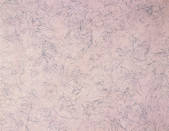 tkf001_781649
