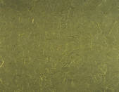 tkf001_781678