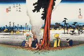 tkf001_781941