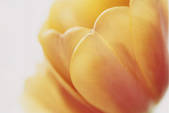 tkf001_789261