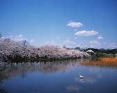 tkf001_790084