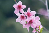 tkf001_790542