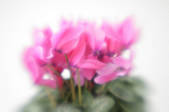 tkf001_791475