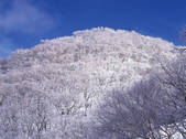 tkf001_791571