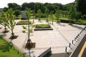tkf001_791632