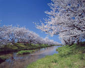 tkf001_791665