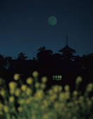 tkf001_792407