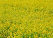 tkf001_793305