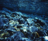 tkf001_793989