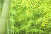 tkf001_794951