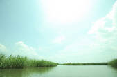 tkf001_794953