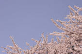 tkf001_794989