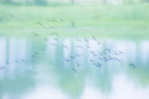 tkf001_795418
