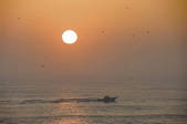 tkf001_795589