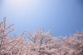tkf001_795716