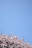 tkf001_795720
