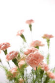 tkf001_797067