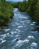 tkf001_797263