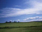 tkf001_797287