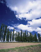 tkf001_797304