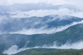 tkf001_797363