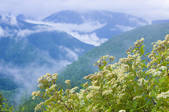 tkf001_797397