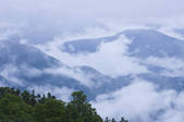 tkf001_797400