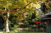 tkf001_798518