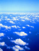 tkf001_800157