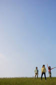 tkf001_801306