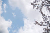tkf001_801422