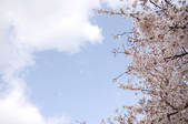 tkf001_801576