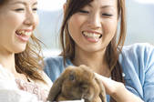 tkf001_801581