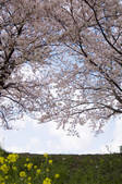 tkf001_801677