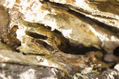 tkf001_802349