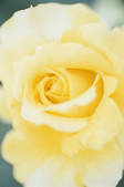 tkf001_804812
