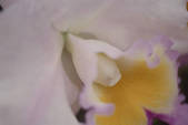 tkf001_804827