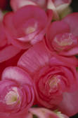 tkf001_804835