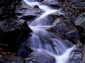 tkf001_805077
