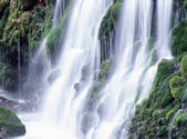 tkf001_805078